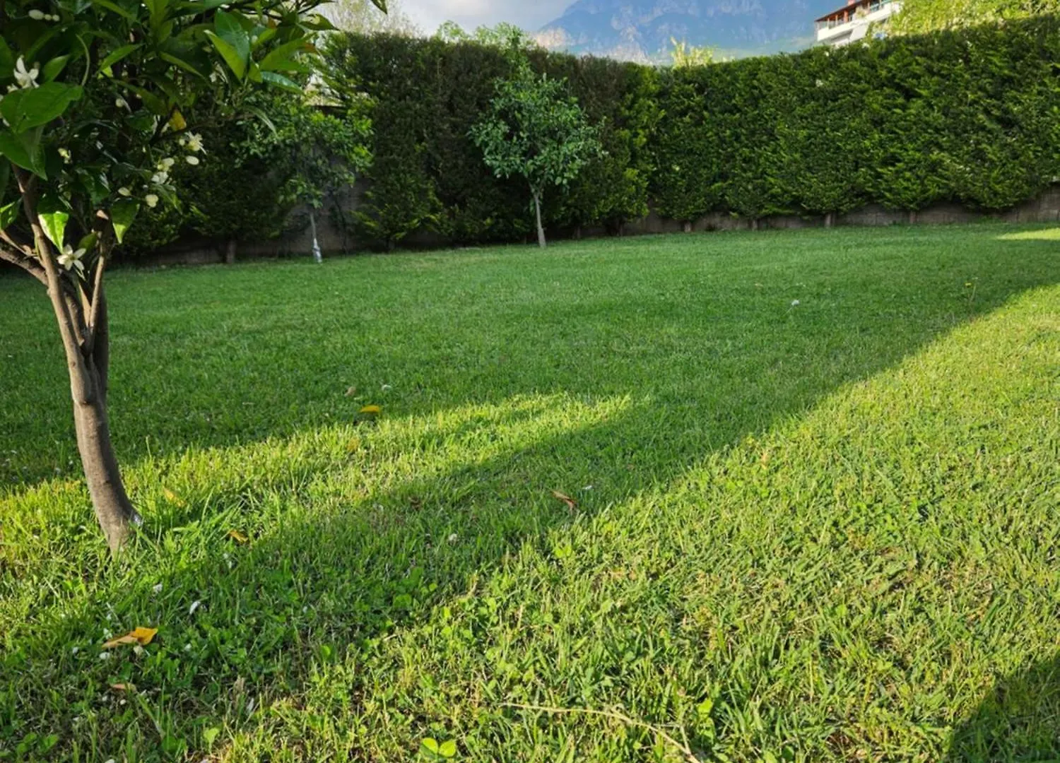 Medo Villa Tirana Albania
